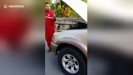 Massive python pulled out of car engine in Thailand