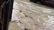 Belgique : Une voiture met une femme en colère pendant les inondations à Oreye !