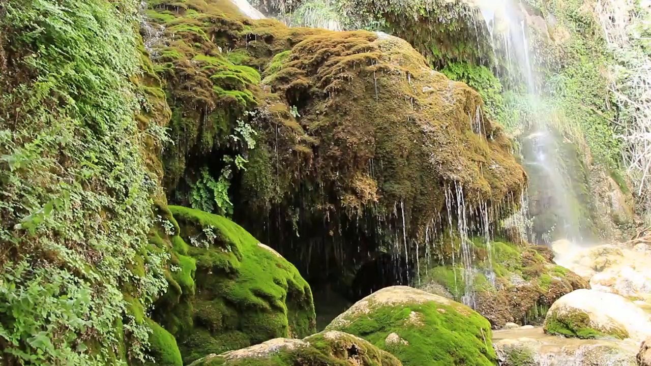 SONIDOS DE LA NATURALEZA  - EL CHORRAERO  -