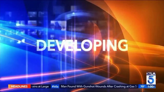 Woman Fatally Shot by Police After Allegedly Stabbing Therapist