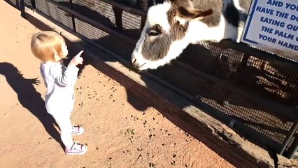 Cutest Kids VS Zoo Animals Ultimate Funny Compilation 2018 - Funny Pet Videos