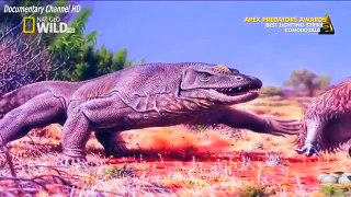 Snake Documentary Komodo Dragon Komodozilla Documentary HD 1080p No Sound First: 0:22s