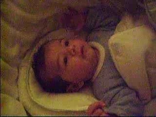 1677_cut_more_contrast