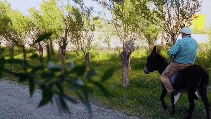 Bozbash Pictures "Babək" Yeni (31.05.2018)