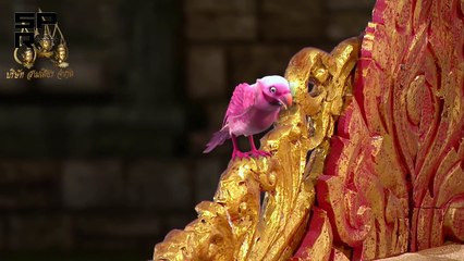 ទេពបីរដូវ 62EP, Tep Bey Rodov 62EP