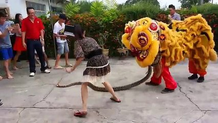 Múa Lân Sư Rồng - Lân Đại Chiến Trăn Khổng Lồ - Nguy Hiểm Chết Người