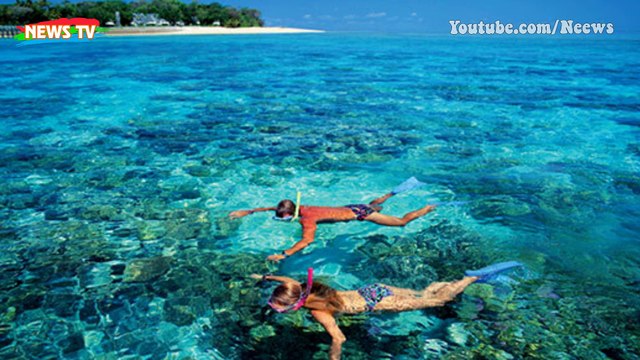 10 Loài động vật biển nguy hiểm nhất thế giới