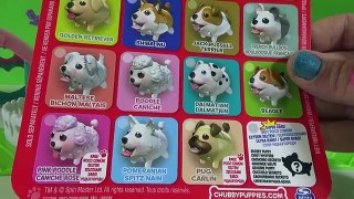 Cachorro Patoso - Centro de Entrenamiento - Chubby Puppies juguetes toys en español