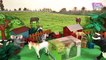 14 FARM ANIMALS SURPRISE TOYS 3D PUZZLES for kids - Horse Pig Dog Sheep Bull
