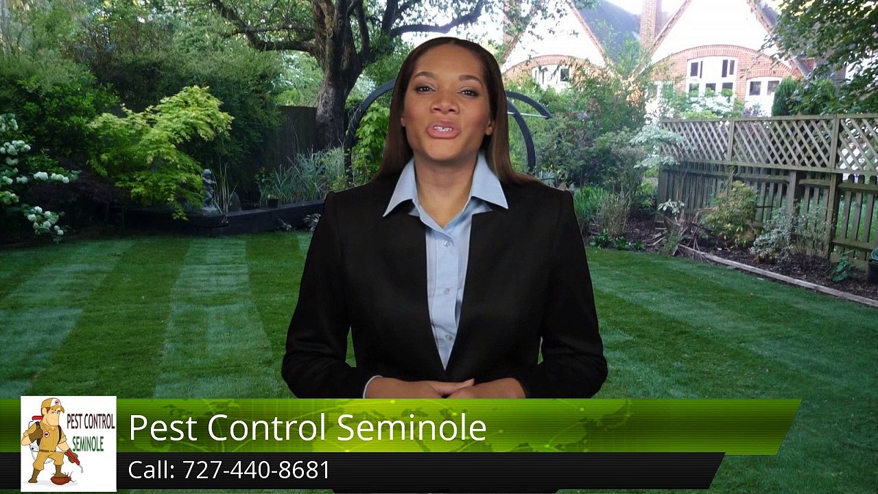 Termite & Pest Control Review Seminole FL Pest Control Seminole, Seminole Excellent 5 Star Review