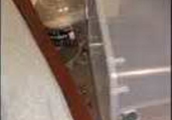 Teenager Catches Sneaky Squirrel Hiding in Brother's Bedroom