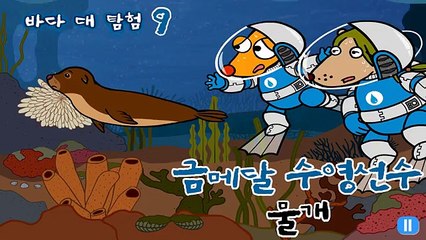 바다대탐험 #9 나는야 수영선수 물개! | Ocean Adventure for kids