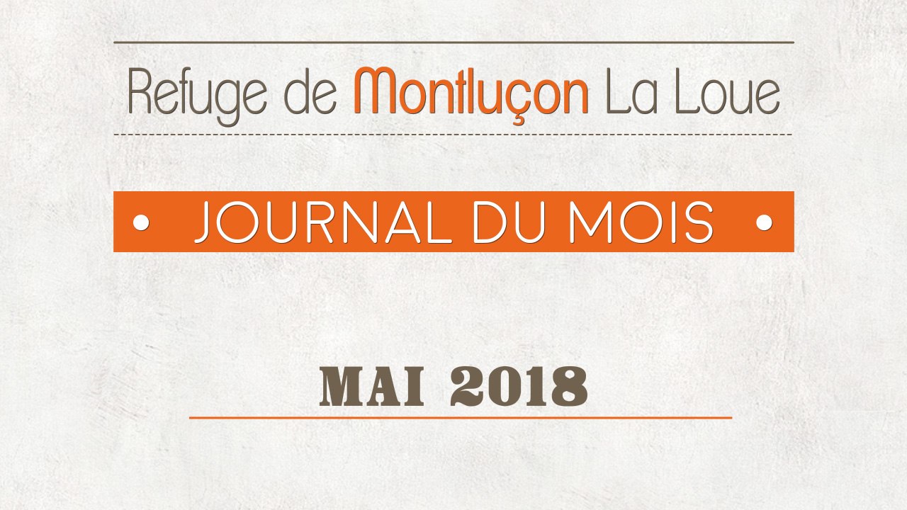 Un mois au refuge : mai 2018