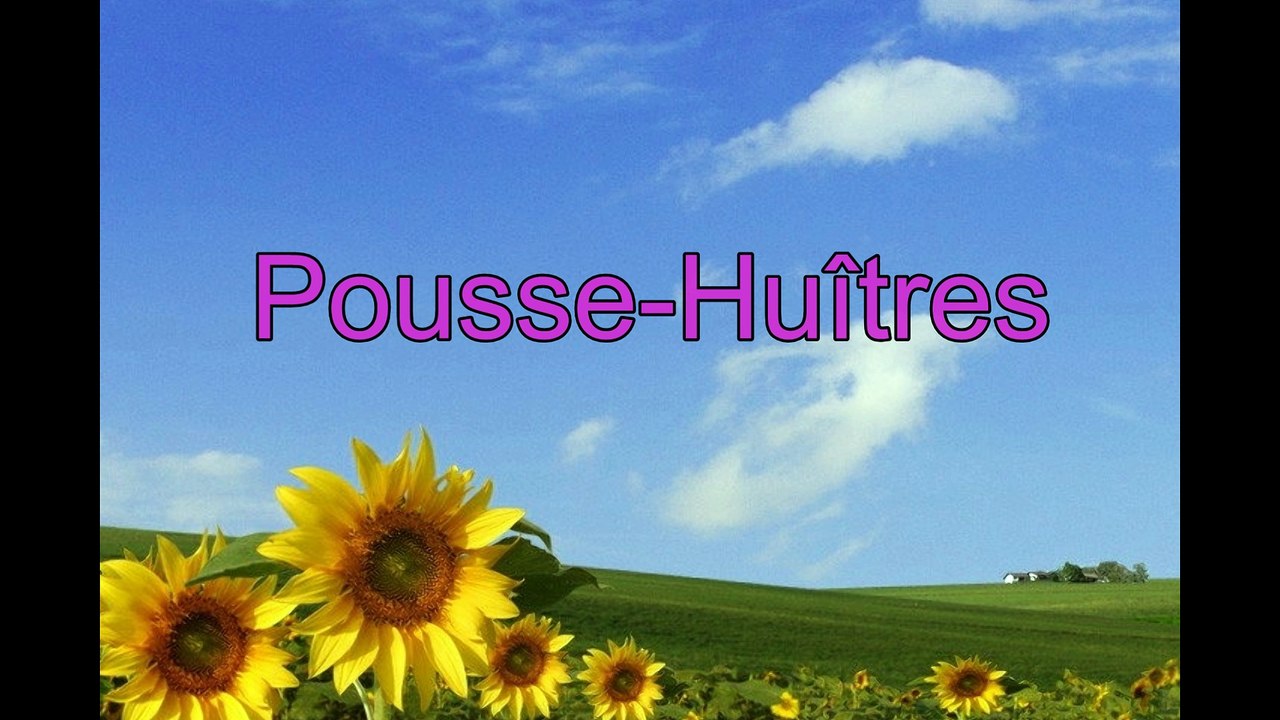 Tutoriel ouvrir les huîtres avec Pousse Huîtres...C'est chic!