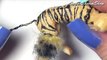 Miniature Tiger Tutorial // Dolls/Dollhouse // SugarCharmShop