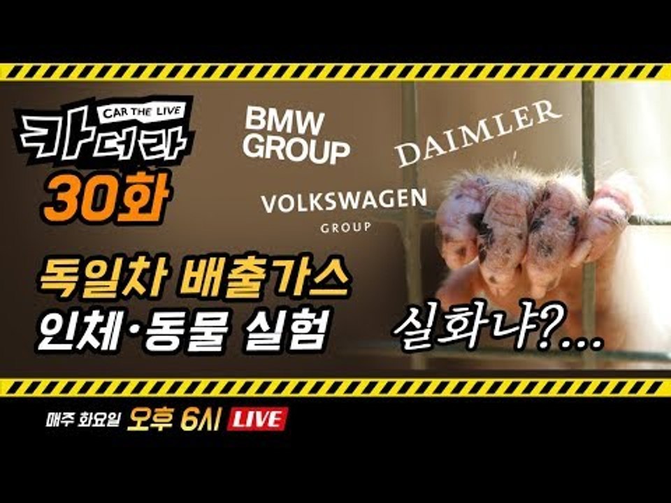 독일차 배출가스 인체 및 동물 실험 실화냐?…카더라 30회.. 신형 싼타페 비공개 공...