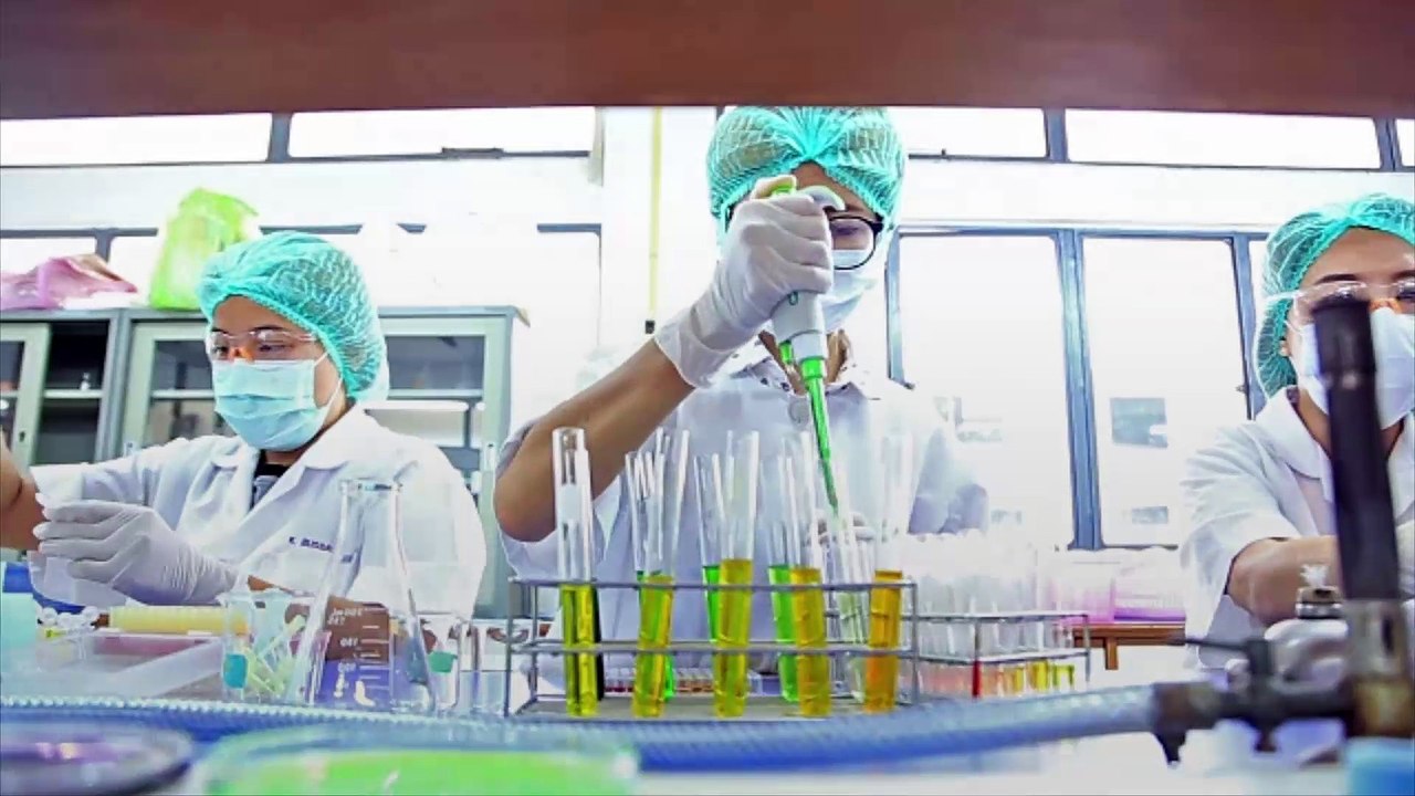 Manger un oeuf par jour réduirait le risque de maladies !