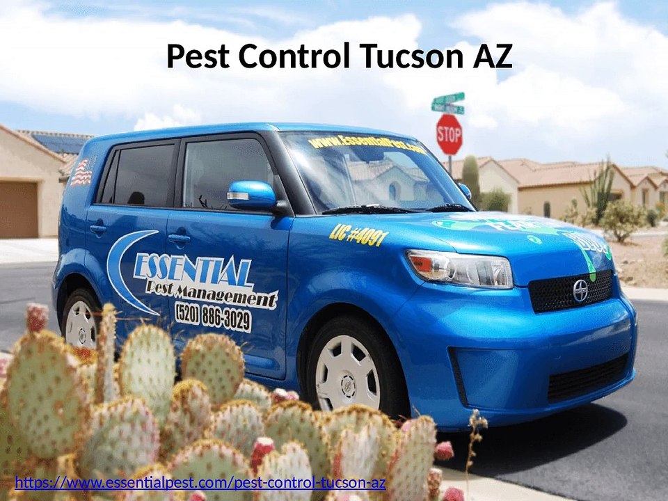 Pest Control Tucson AZ