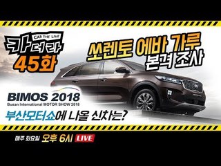 ‘쏘렌토 에바 가루’ 본격 조사, 부산모터쇼에 나올 신차는?…카더라 45회