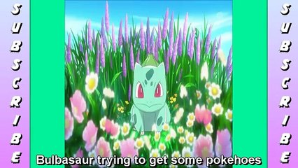 Pokemon Crack Humor OMG ANIME WTF PT:1