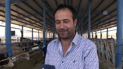 Kurduğu çiftlikte 15 kişiyi iş sahibi yaptı - DİYARBAKIR