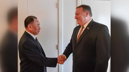 김영철, 내일새벽 트럼프에 친서 전달...북미회담 분수령 / YTN