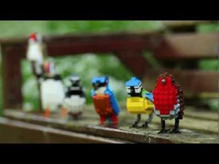 Man creates amazing british birds with Lego