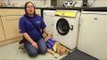 World's first dog operated washing machine