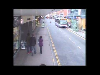 Wild Deer darts through Chelmsford High Street, injuring a woman