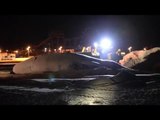 Carcasses of three sperm whales taken from beach to landfill in overnight operation