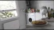 Cheeky seagull flies inside house to steal dinner