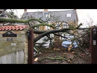 Falling tree crushes luxury cars at a plush Lincolnshire property.