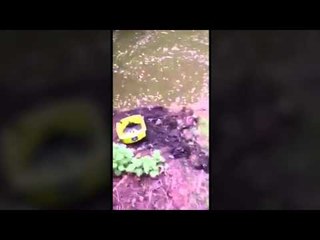 Romantic couple drop engagment ring in Bath pond