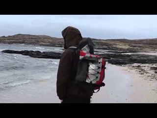 Kitten who likes to travel in a backpack