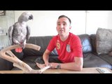 Patriotic parrot who can whistle the theme to the 'Great Escape' (with interview)