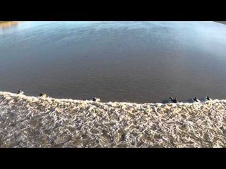 Severn Bore surfing