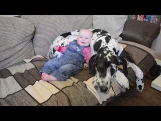 Cute seven-month old baby best friends with 'big sister' - an enormous GREAT DANE