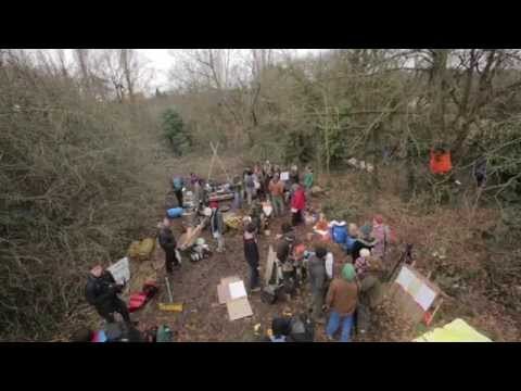 Protesters take to the trees to prevent Metrobus plans going ahead