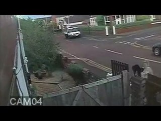 Dog mauls kitten to death as owner laughs on CCTV