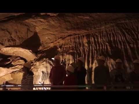 Owners of popular tourist attraction left stunned after discovering rare rock formation inside cave