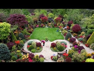 Green-fingered couple transform lawn into stunning oasis