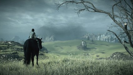 L'épopée Shadow of the Colossus Remake #11