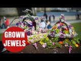 Crown Jewels recreated using 2500 FLOWERS