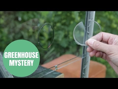 Gardener Baffled When He Found A Perfectly Round HOLE In The Glass Of His Greenhouse.
