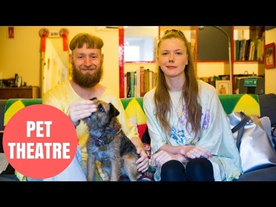 Barking mad actors stage show just for animals