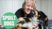 Woman offers massages to dogs suffering aches and pains