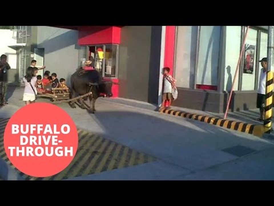 Father takes his ten kids to fast food drive th...