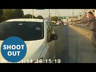 Drug-crazed driver opens fire on police then smashes into their car