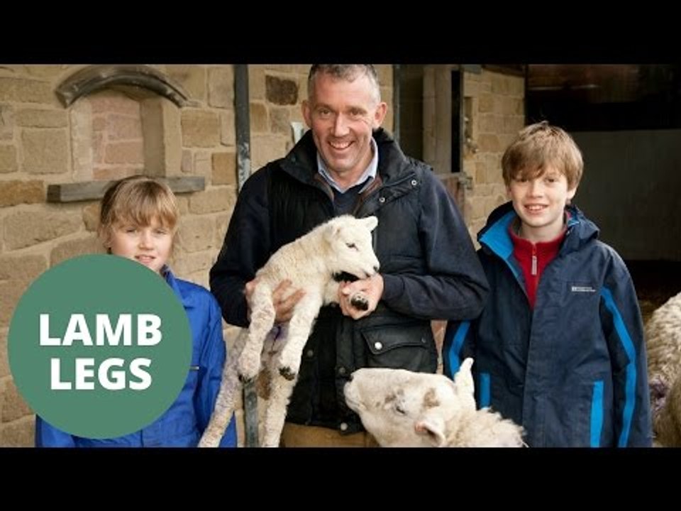 Lamb born with FIVE legs.
