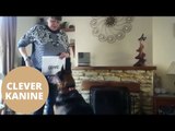 Amazing skills of rescue dog who can read